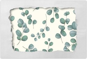 Poszter 60x40 Eukaliptusz ágak