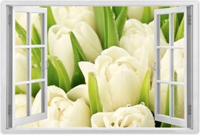 Poszterek 90x60 Finom tulipánok