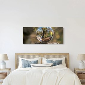 Kép - Tükröződés az üveggömbben (120x50 cm)