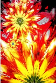 Kolibri szőnyeg 11012-150