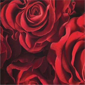 Dekoratív fotótapéta falra Könnyű összeszerelés Vörös rózsák 250x250 Ragasztó