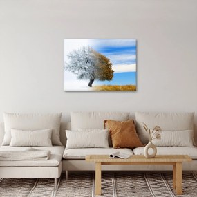 Kép - Évszakváltás (70x50 cm)
