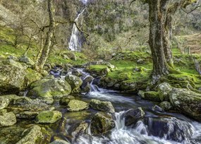 Poszter 70x50cm Aber 2 vízesés, Assaf Frank