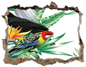 3d-s lyuk vizuális effektusok matrica Trópusi madarak nd-k-82973697