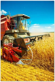 Poszterek 60x90 Kombájn gabonanyíró