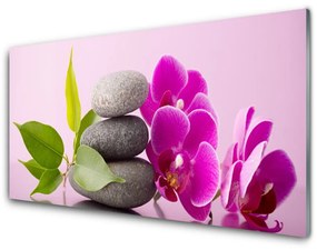 Modern üvegkép Orchidea Orchidea Virág 100x50 cm 4 fogas