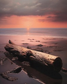 Poszter 40x50cm Nyugalom a vihar előtt