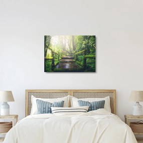 Kép - falépcsők az erdőben (üvegen) (70x50 cm)