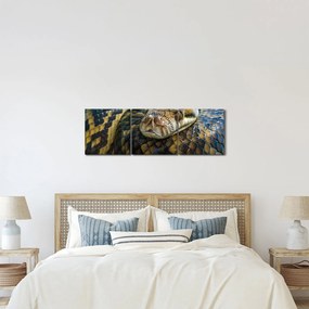 Kép - Piton (órával) (90x30 cm)