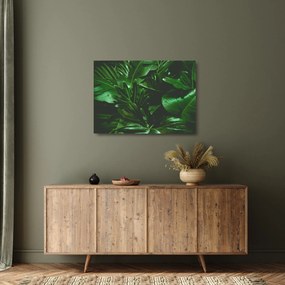 Kép - Pálmalevél (üvegen) (70x50 cm)
