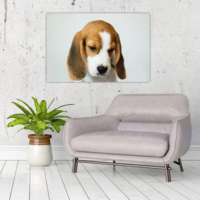 Beagle képe (90x60 cm)