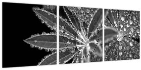 Kép - Levelek cseppekkel (órával) (90x30 cm)