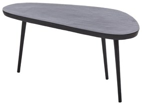 Fekete fém dohányzóasztal 42x87 cm Puno – Light & Living