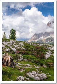 Poszterek keretben 40x60 Hegyi kilátás Tájkép