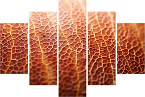 Kép - Textúra részlet (150x105 cm)