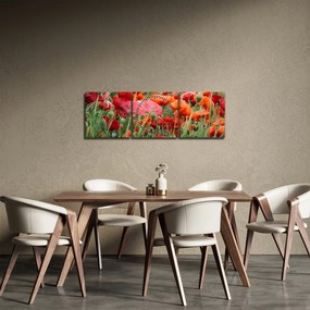 Egy kép a pipacs mezőről (órával) (90x30 cm)