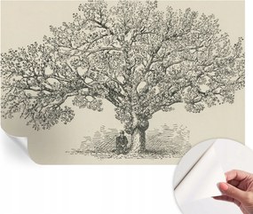 Öntapadós tapéta Fali furnér 3D hatás Fa illusztráció 104x70 cm