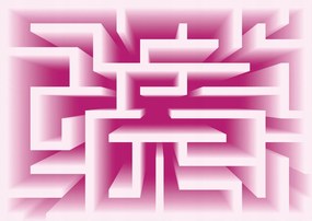 Fotótapéta rózsaszín labirintus geometria absztrakt vinil 254x184 +ragasztó