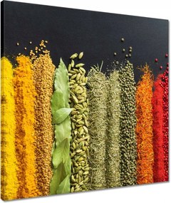 Vászonkép 50x50 Színes fűszer szett