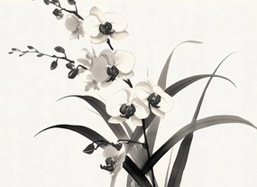 Poszter 55x40cm Orchidea