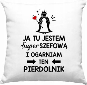 Párna A Vezetőnőnek Ajándék Munkahelyre Születésnapra Lengyel