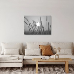 Üveg kép - Mező naplementében (70x50 cm)