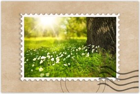 Poszterek 90x60 Sugårzås a réten