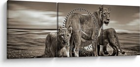 Fekete fehér tigris képe (órával) (90x30 cm)