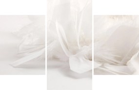 Kép - Toll (90x60 cm)