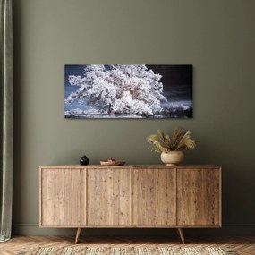 Kép - Hófehérke fa (120x50 cm)