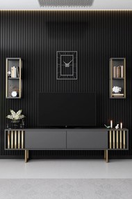 TV szekrény Gold Line - Anthracite, Black