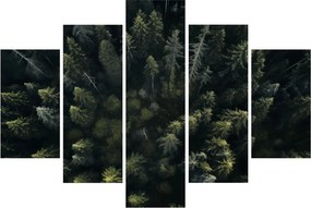 Kép - Forest (150x105 cm)