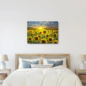 Kép - Napraforgók naplementében (70x50 cm)