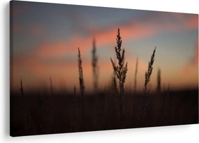 Kép - A növény sziluettje (90x60 cm)