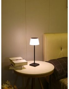 Immax 08492L - állítható fényerőjű kültéri napelemes LED lámpa 4W/5V IP44