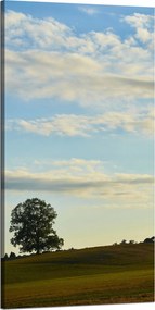 Vászonkép Természet Fa a réten 60x120 cm