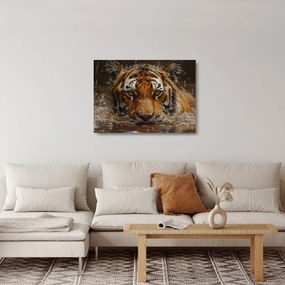 Üveg kép - Portré egy tigris a vízben (70x50 cm)