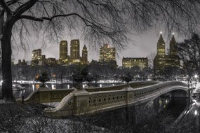 Poszter 45x30cm Központi park Manhattan panorámával, Assaf Frank