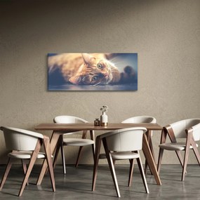 Egy kép a macskáról a padlón (120x50 cm)