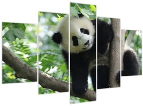 Kép - Panda a fán (150x105 cm)
