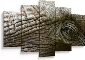 Kép - Közelkép az öreg elefánt szeméről (150x105 cm)
