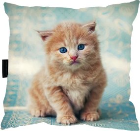 Macska Párna 40x40 Cica Ajándék