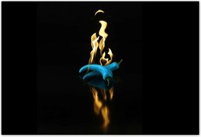 Poszterek 185x125 Kék paprika a tűzben