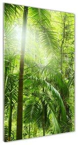 Üvegfotó Az esőerdő osv-76332675