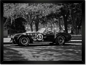 Poszterek keretben 40x30 Shelby