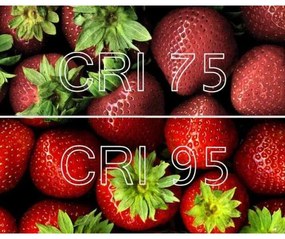 Lucide 09929/05/31 - LED Dimmelhető spotlámpa NIGEL 1xGU10/5W/230V fehér