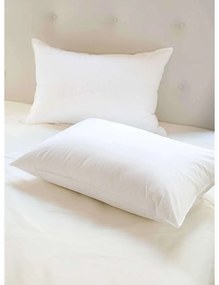 EMI Standard antiallergén párna 50x70cm