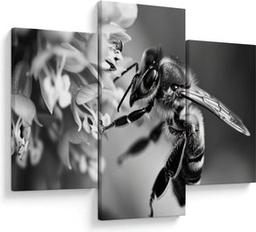 Kép - A méh részlete (90x60 cm)