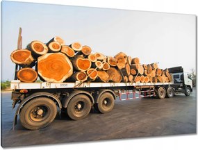 Festmények 120x80 Tűzifa