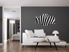 Kép egy zebra bőrről (90x60 cm)